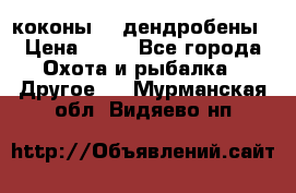 коконы    дендробены › Цена ­ 25 - Все города Охота и рыбалка » Другое   . Мурманская обл.,Видяево нп